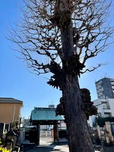 本榮寺（本栄寺）(東京都)