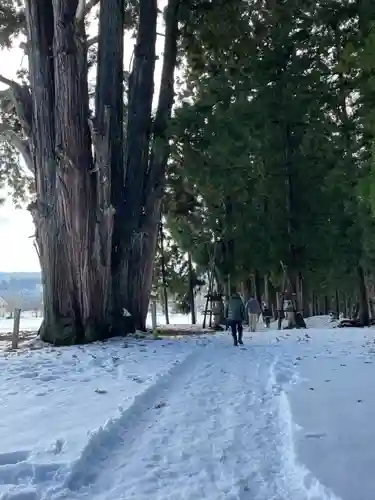矢放神社(新潟県)