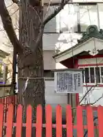 銀杏岡八幡神社の自然