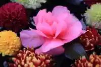 大鏑神社の手水舎