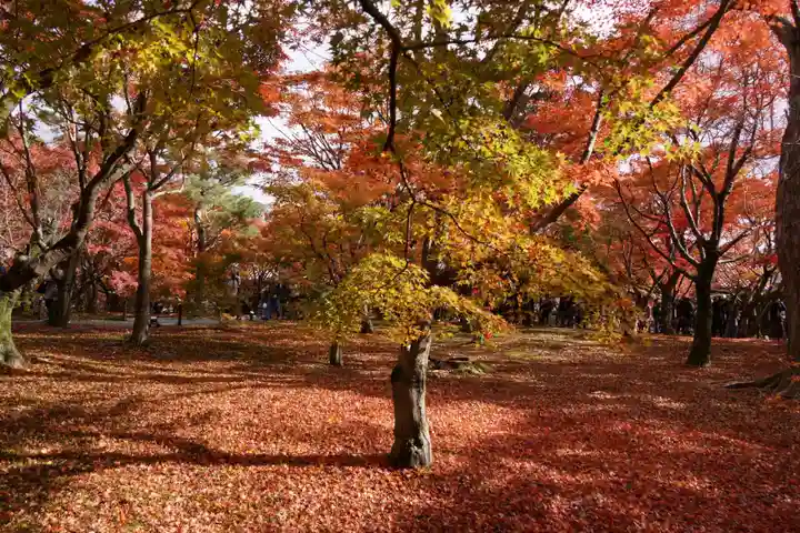 東福禅寺(東福寺)(京都府)