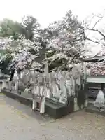 薬王寺(埼玉県)