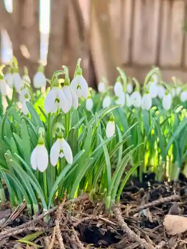 七重浜海津見神社の{uncategorized: "未分類", other: "その他", undefined: "問題あり", building: "その他建物", grave: "お墓", sacred_gate: "鳥居", guardian: "狛犬", statue: "像", buddha: "仏像", history: "歴史", nature: "自然", garden: "庭園", animal: "動物", pagoda: "塔", temizu: "手水舎", mountain_gate: "山門・神門", sanctuary: "本殿・本堂", subordinate: "末社・摂社", art: "芸術", scenery: "景色", jizo: "地蔵", ema: "絵馬", goshuin: "御朱印", omikuji: "おみくじ", items: "授与品その他", amulet: "お守り", goshuincho: "御朱印帳", eats: "食事", festival: "お祭り", votive_dance: "神楽", shichigosan: "七五三参", wedding: "結婚式", experience: "体験その他", initially: "初詣", around: "周辺", anti_infection: "感染症対策"}