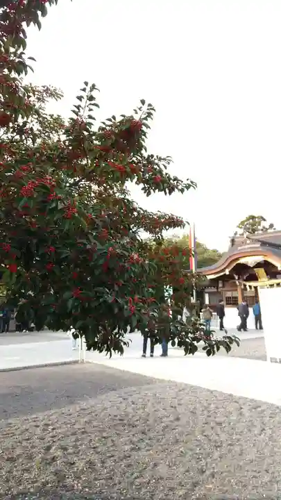 田縣神社の自然