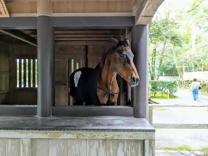 伊勢神宮内宮(皇大神宮)(三重県)