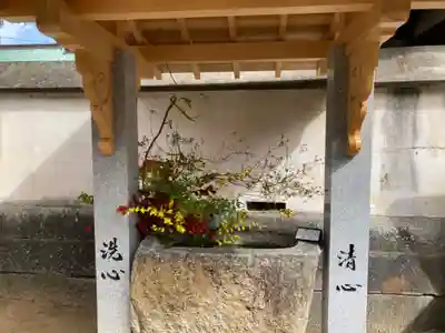 三津厳島神社の手水舎