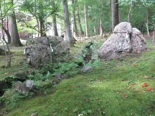 土佐神社の自然