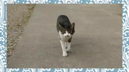 前玉神社(埼玉県)