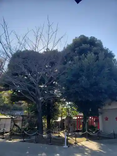 新井天神北野神社(東京都)
