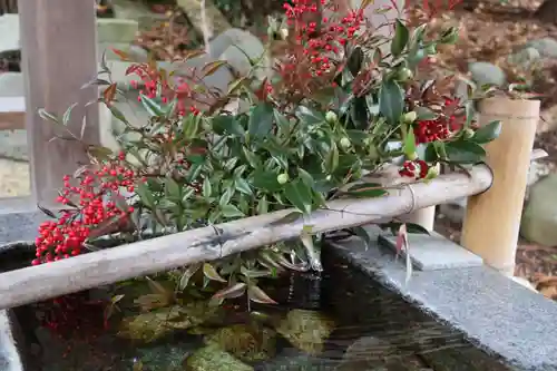 高司神社〜むすびの神の鎮まる社〜の手水舎
