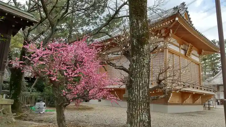 市原稲荷神社のその他建物