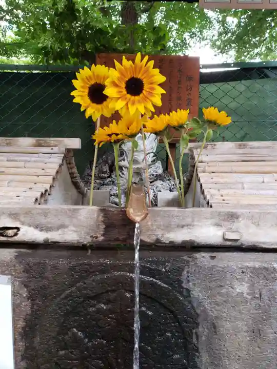諏訪神社(東京都)