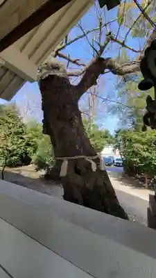 稗田神社(兵庫県)