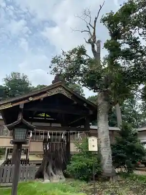 須賀神社(栃木県)