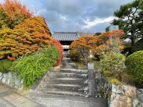 文覚寺の山門・神門