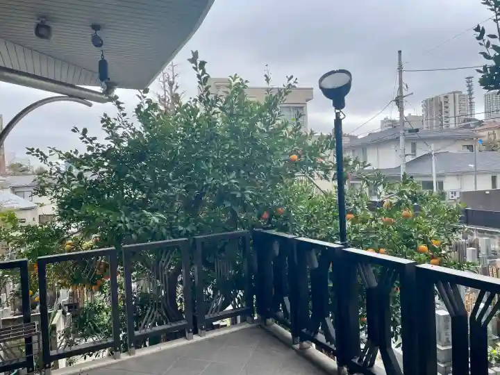 大龍寺の{uncategorized: "未分類", other: "その他", undefined: "問題あり", building: "その他建物", grave: "お墓", sacred_gate: "鳥居", guardian: "狛犬", statue: "像", buddha: "仏像", history: "歴史", nature: "自然", garden: "庭園", animal: "動物", pagoda: "塔", temizu: "手水舎", mountain_gate: "山門・神門", sanctuary: "本殿・本堂", subordinate: "末社・摂社", art: "芸術", scenery: "景色", jizo: "地蔵", ema: "絵馬", goshuin: "御朱印", omikuji: "おみくじ", items: "授与品その他", amulet: "お守り", goshuincho: "御朱印帳", eats: "食事", festival: "お祭り", votive_dance: "神楽", shichigosan: "七五三参", wedding: "結婚式", experience: "体験その他", initially: "初詣", around: "周辺", anti_infection: "感染症対策"}