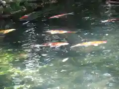 伊勢神宮内宮（皇大神宮）(三重県)