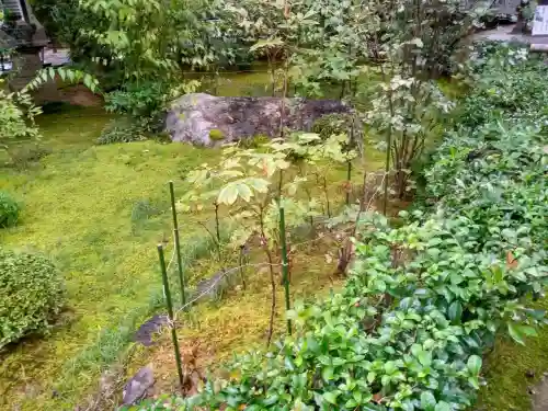 妙心寺（妙心禅寺）(京都府)