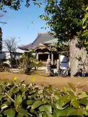 泉養寺の本殿