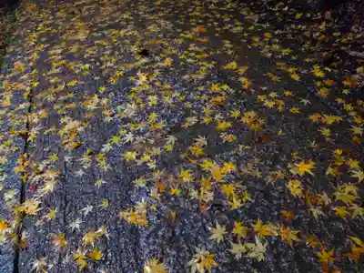 御劔社(長者社神蹟)(京都府)