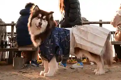 東雲神社(愛媛県)