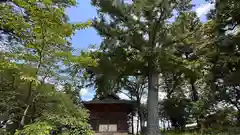 天満神社(兵庫県)