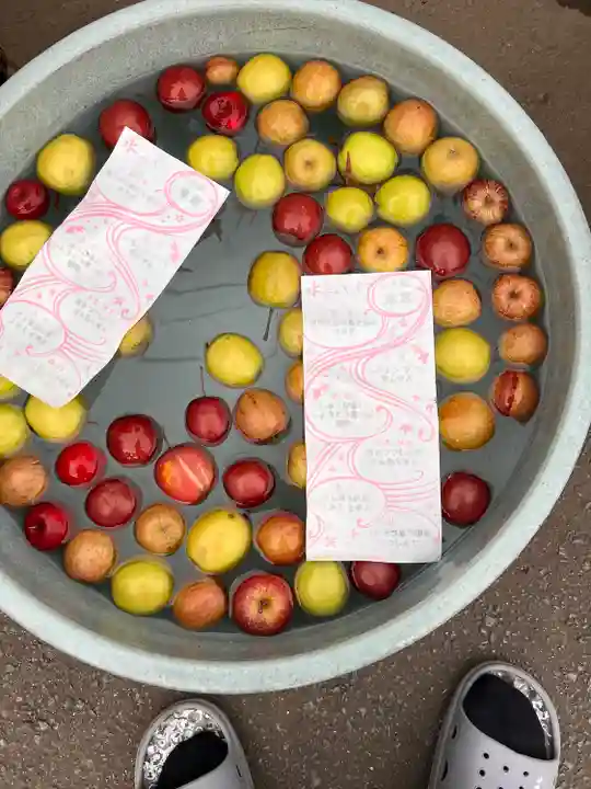 廣田神社~病厄除守護神~のおみくじ