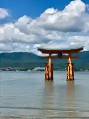 厳島神社の鳥居