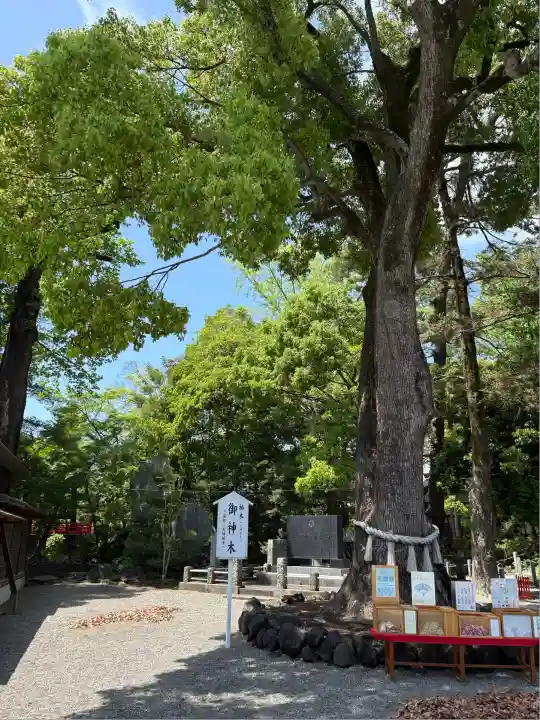 玉村八幡宮(群馬県)