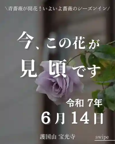 宝光寺(北海道)