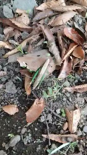 酒門神社の動物