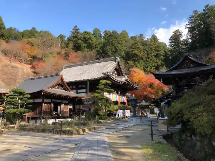 岡寺(龍蓋寺)(奈良県)