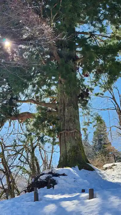 竹之高地不動社(新潟県)