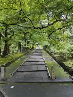 毘沙門堂門跡(京都府)