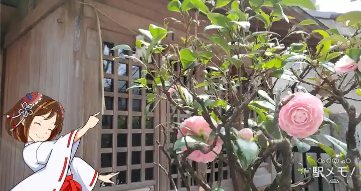 上平井天祖神社の自然