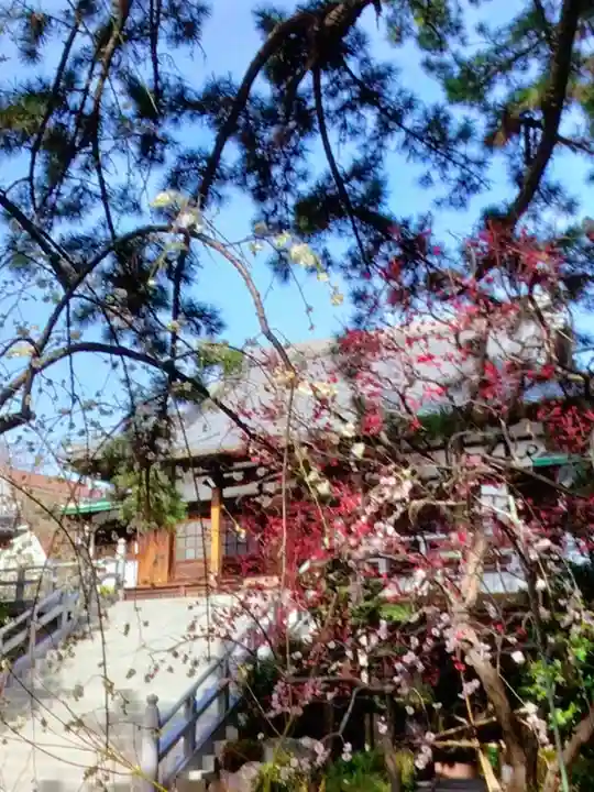 玄国寺(東京都)