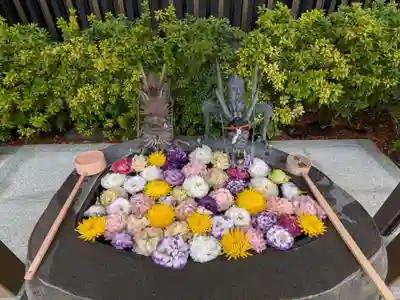 駒込妙義神社(東京都)