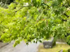 伊勢の国 四天王寺の自然