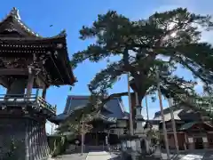 大慶寺(静岡県)