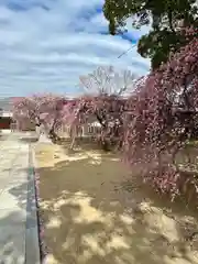 屯倉神社(大阪府)