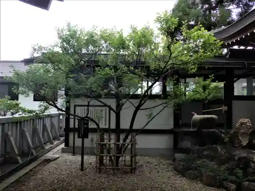 加納天満宮の自然