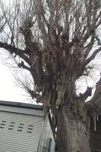 東漸寺(千葉県)