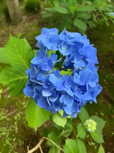 本土寺(千葉県)