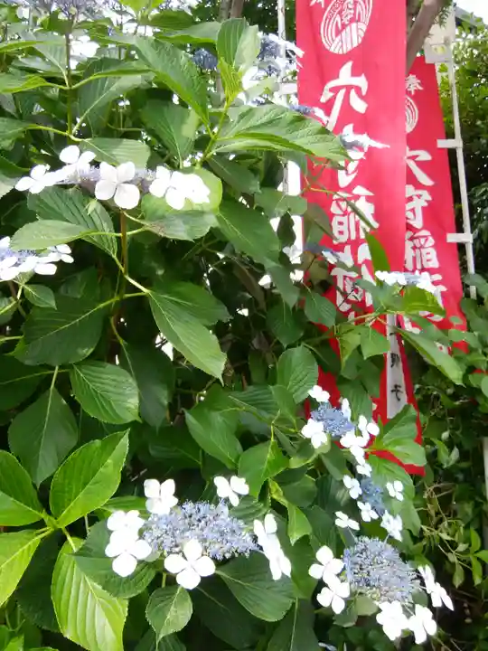 東京羽田 穴守稲荷神社(東京都)