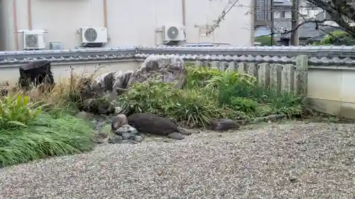 安福寺(京都府)