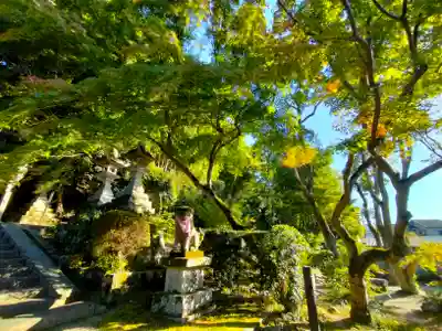 等彌神社(奈良県)