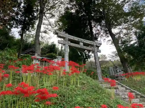 八幡神社の鳥居