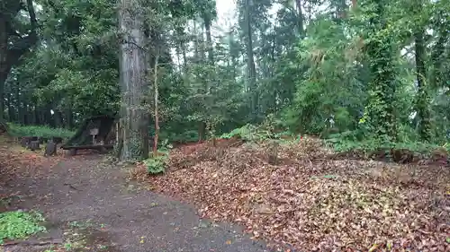 川尻八幡宮の自然