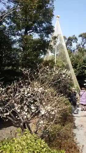 池上本門寺(東京都)