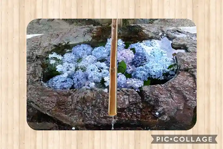 阿智神社の手水舎